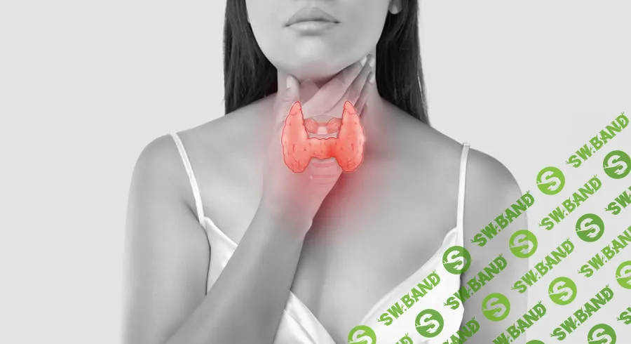 [Времени нет] Секреты здоровой щитовидки (2023)