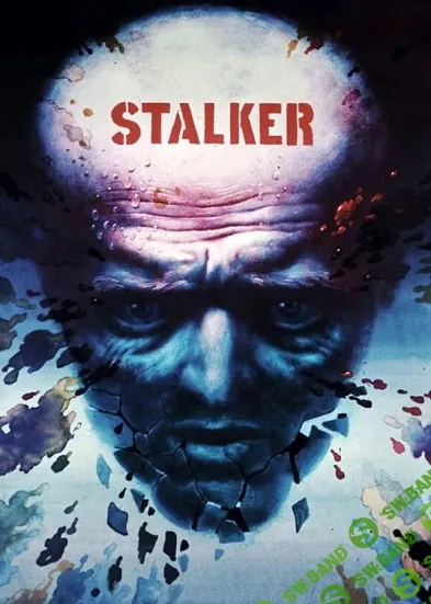 [Всеволод Зеленин] Кинокоучинг Сталкер (2021)