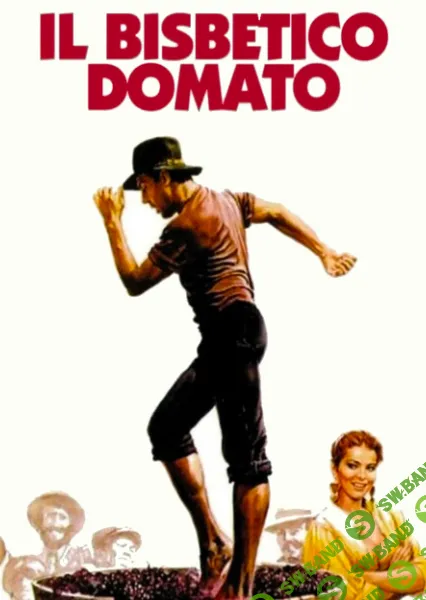 [Всеволод Зеленин] Кинокоучинг Укрощение строптивого (2024)