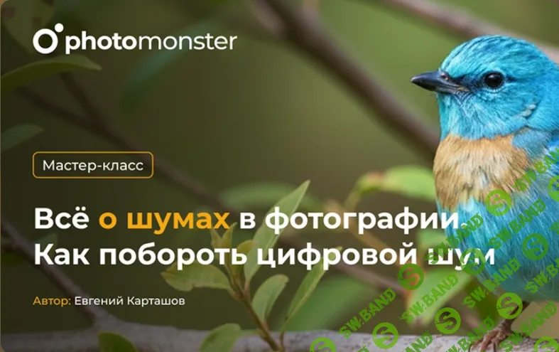 Всё о шумах в фотографии. Как побороть цифровой шум [Евгений Карташов]