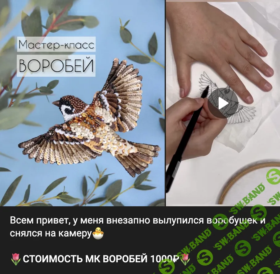 [Вышивка] Воробей [Элина Жук]