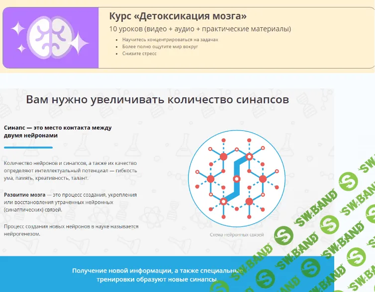 [Wikium] Детоксикация мозга