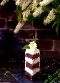 [Xleb.tartin] Черемуховый торт (2025)