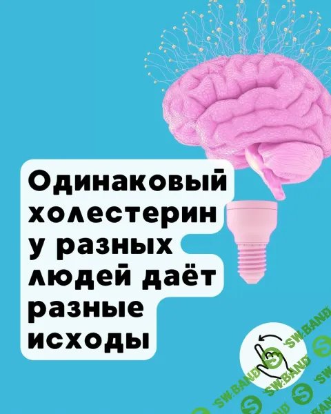 Холестерин, бляшки и статины [Тариф 3] [Humberto 2.0] [Елена Иванова]