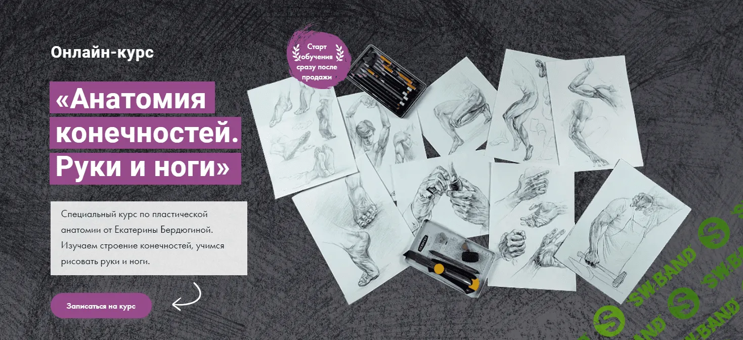 [Художник online, Екатерина Бердюгина] Анатомия конечностей. Руки и ноги (2023)