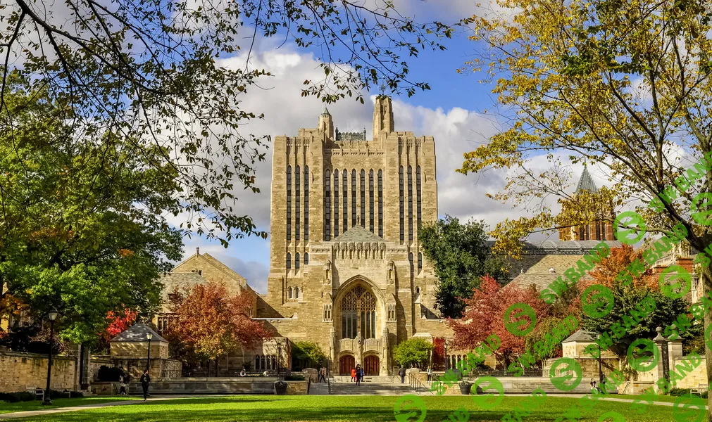 [Yale University] Введение в психологию. Лекции Йельского Университета. Часть 2 из 10 (2020)