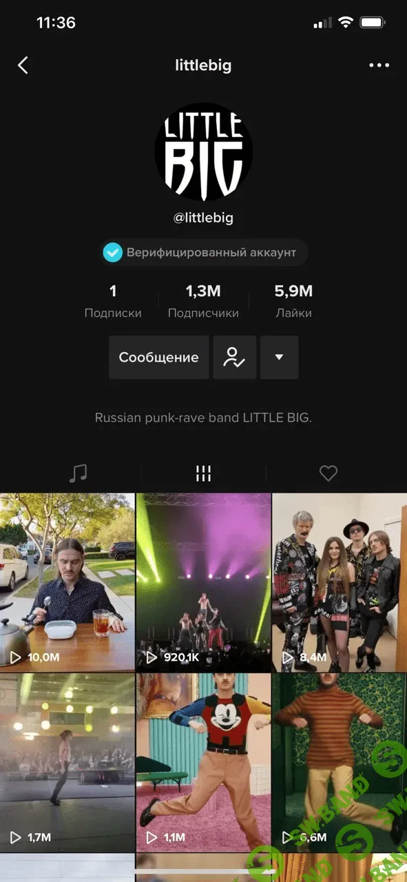 [youviral.media] Быстрый старт в YouTube и Tik Tok