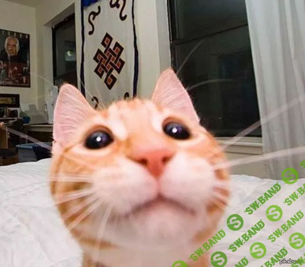 Запуск денежного генератора [2014]