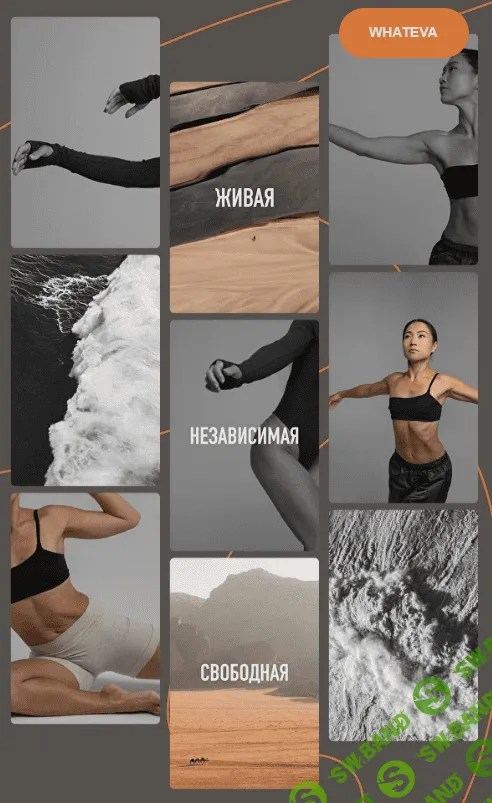 [Zarina Del Mar] Женщина. Тело (2023)