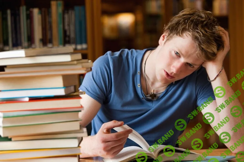 Заставляем себя учиться