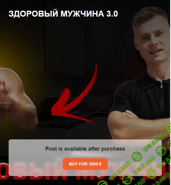 Здоровый мужчина 3.0 [Андрей Егоров]