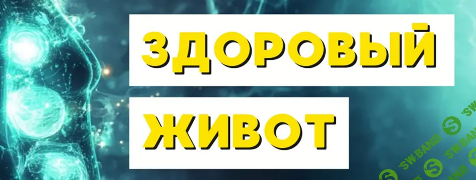 Здоровый живот [Анна Вервенко]