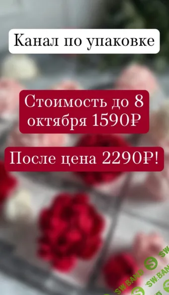 [zefir_buton] Канал по упаковке (2025)