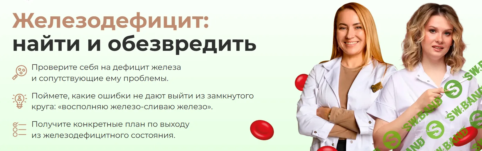 Железодефицит: найти и обезвредить [Тариф Настроен серьезно] [academy-antiage] [Ольга Евдокимова, Виктория Сорокина]