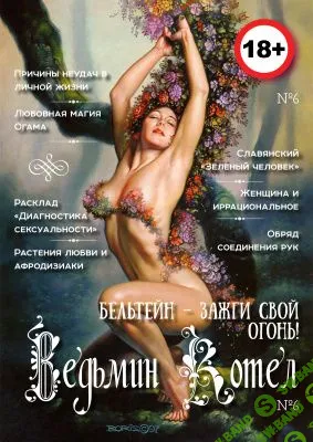 [Журналы по эзотерике] Ведьмин котел 2017 №06