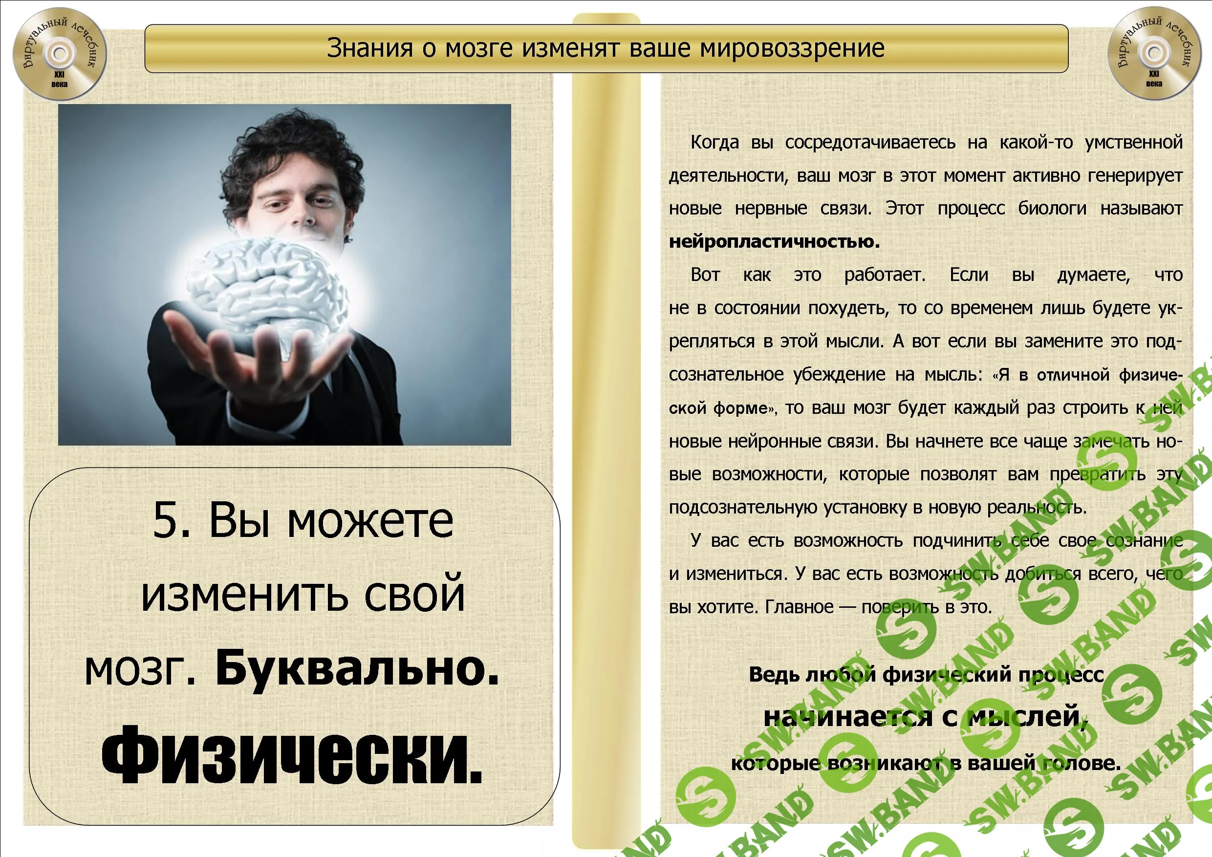 знания о мозге.jpg