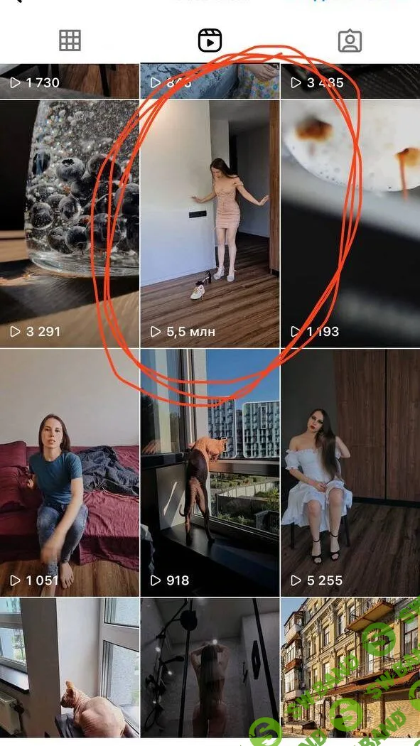 [Зуши Плетнев] Рилсы, которые дают подписчиков и продажи каждый день (2023)