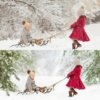 [Lilia Alvarado] Нежные зимниие пресеты  - ACR Winter Wonderland Presets (XMP+PDF+видео)