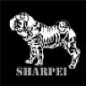 Sharpei