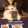 Basilic