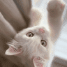 .goodmood