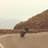 Touareg